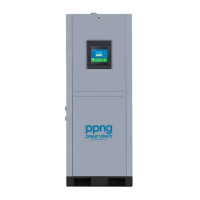 Генератор азота Pneumatech PPNG 68 S