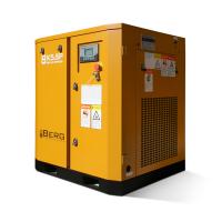 Винтовой компрессор BERG ВК-5.5Р (7/8/10/12)